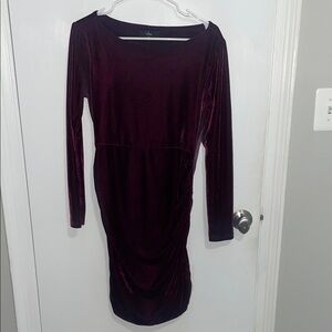 Elegant Velvet Long Sleeve Dress